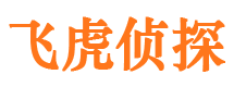 于都外遇调查取证